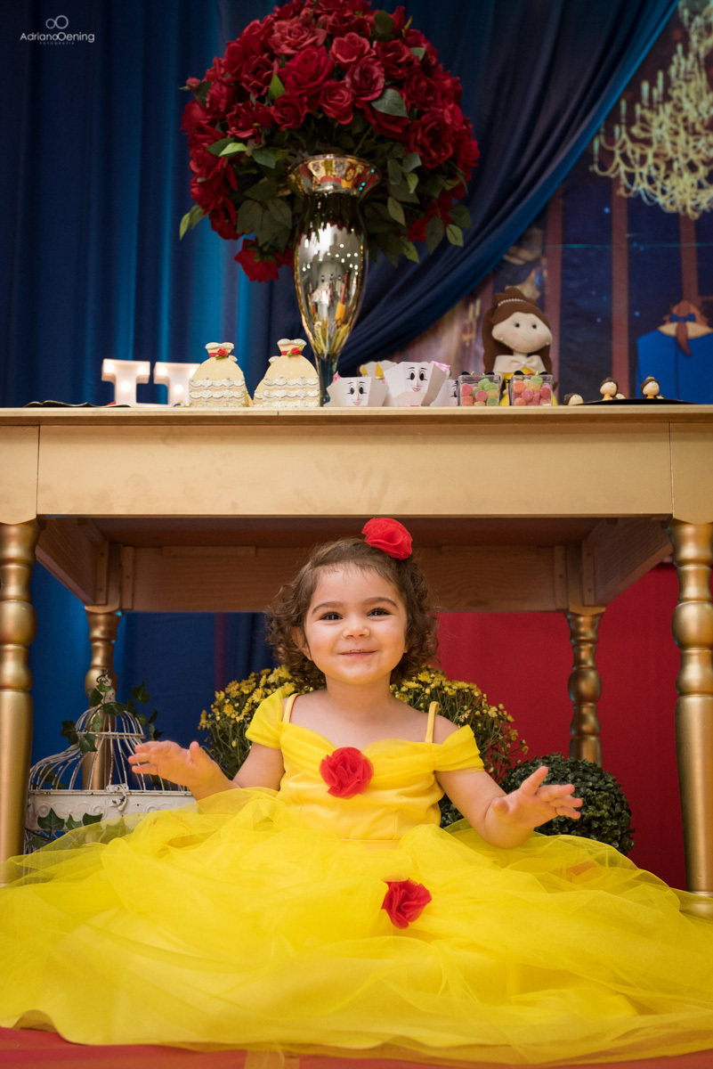 aniversário com tema a bela e a fera