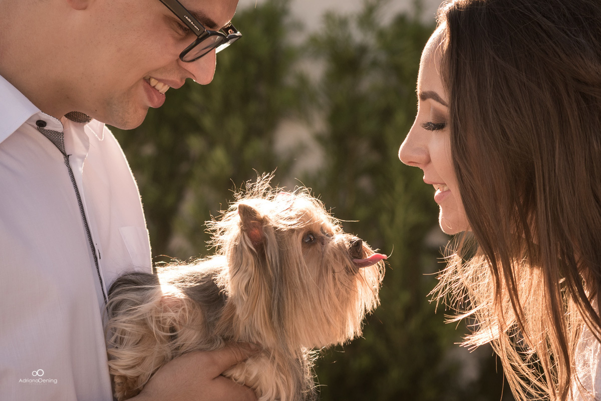 ensaio pre-casamento com cachorro