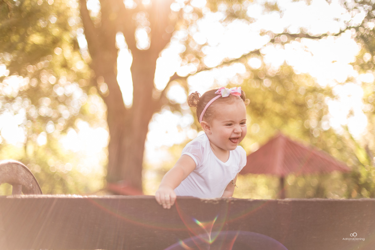 Ensaio familia e fotografia de familia pelo fotografo de Familia em Francisco Beltrao Adriano Oening