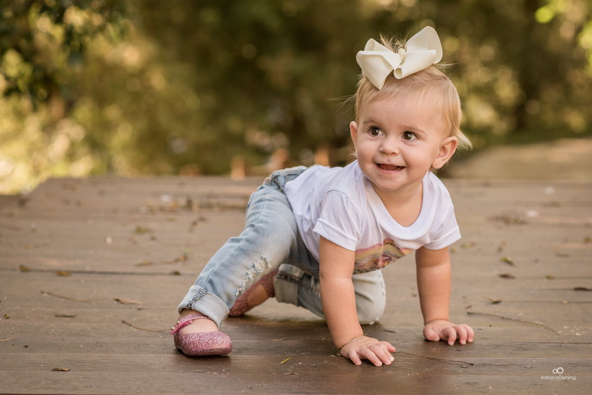Ensaio de 1 ano da Valentina com a familia pelo Fotografo de Francisco Beltrao Adriano Oening