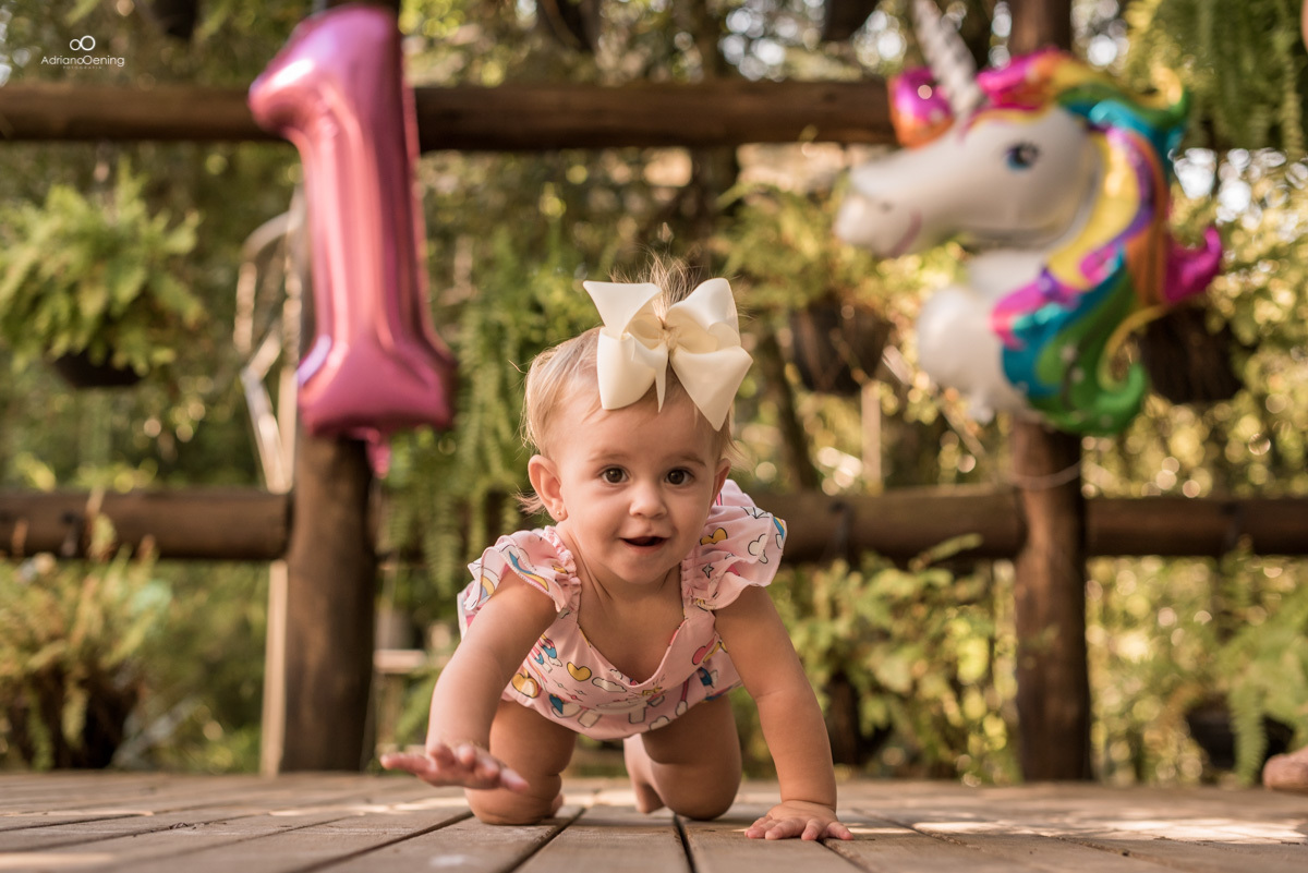 Ensaio de 1 ano da Valentina com a familia pelo Fotografo de Francisco Beltrao Adriano Oening