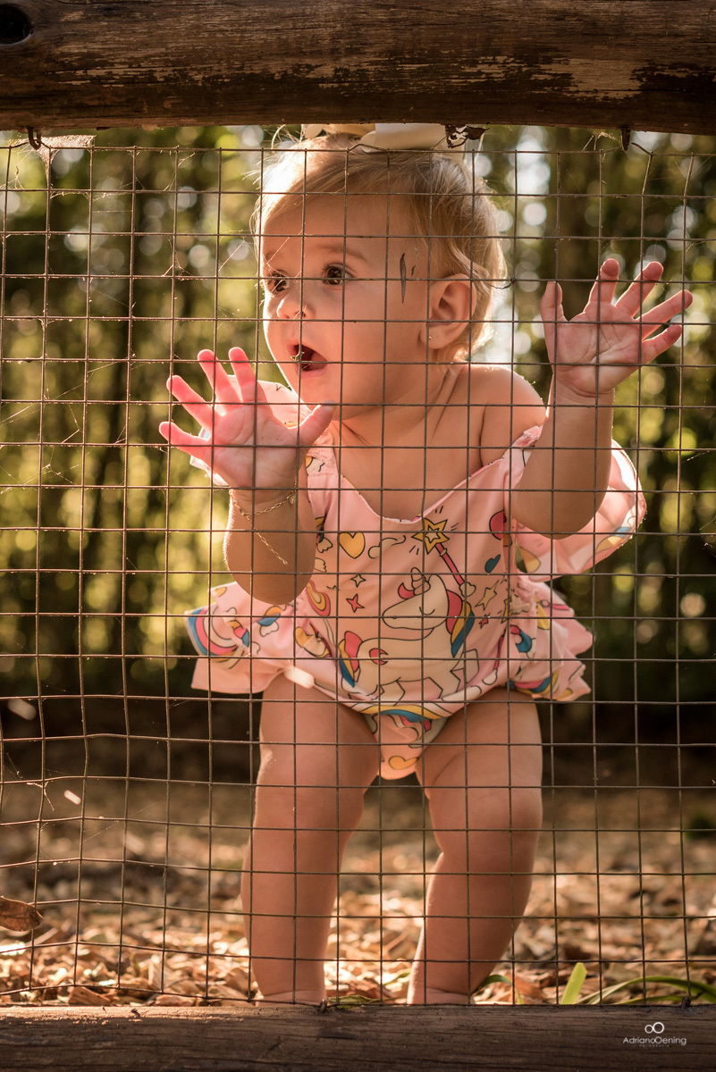 Ensaio de 1 ano da Valentina com a familia pelo Fotografo de Francisco Beltrao Adriano Oening