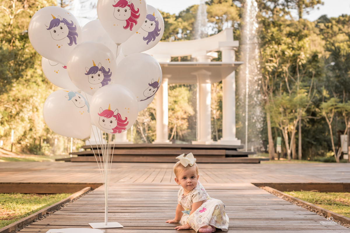 Ensaio de 1 ano da Valentina com a familia pelo Fotografo de Francisco Beltrao Adriano Oening