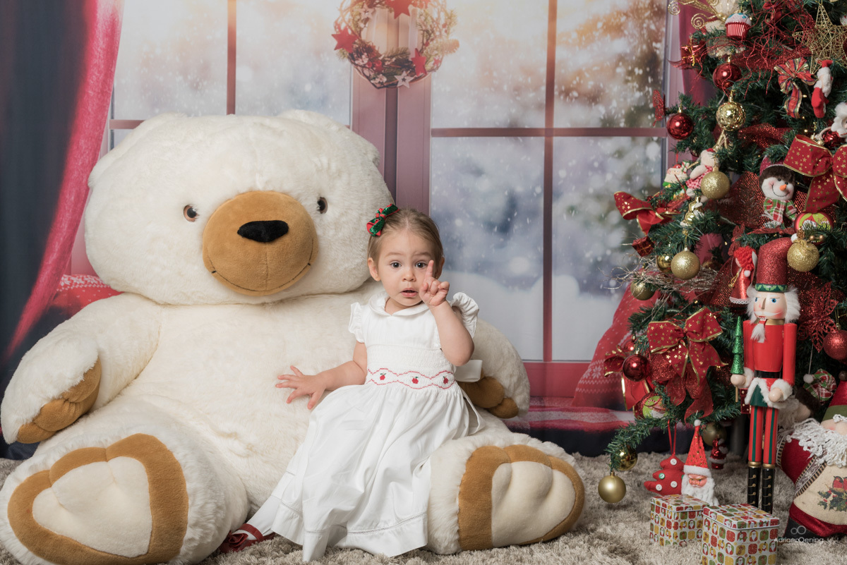 Ensaio de Natal no estúdio Adriano Oening Fotografia em Francisco Beltrão Pr