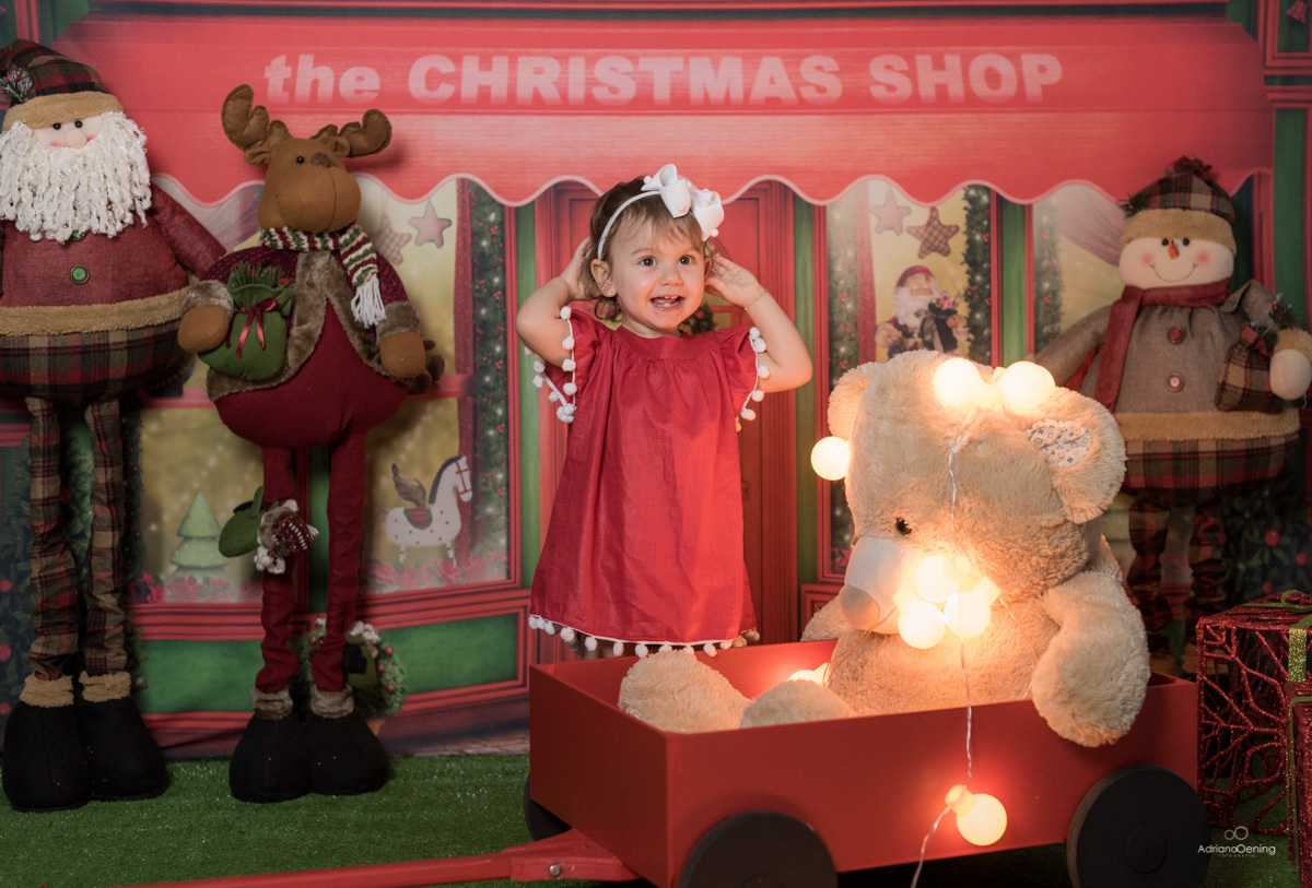 Ensaio de Natal no estúdio Adriano Oening Fotografia em Francisco Beltrão Pr