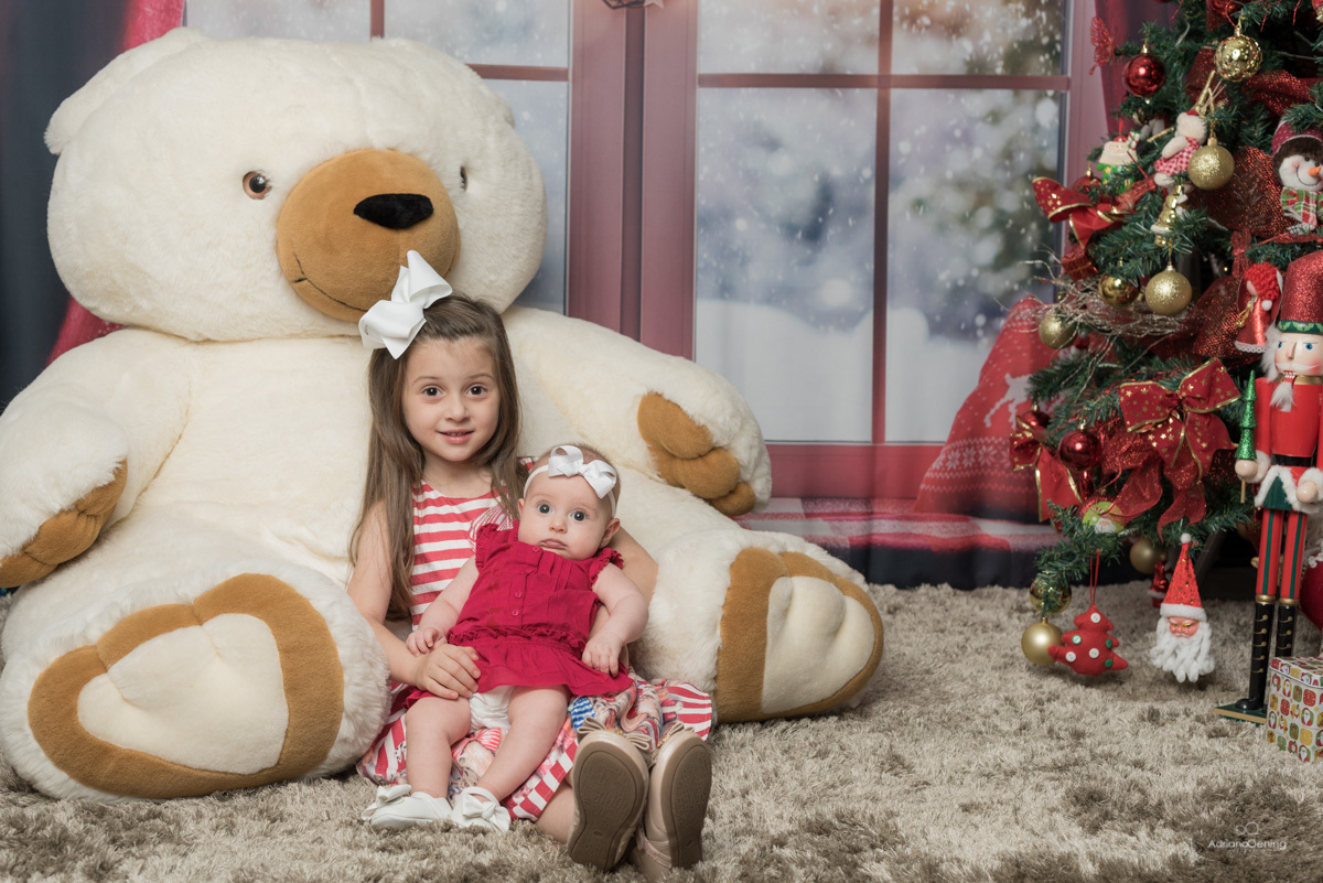 Ensaio de Natal no estúdio Adriano Oening Fotografia em Francisco Beltrão Pr