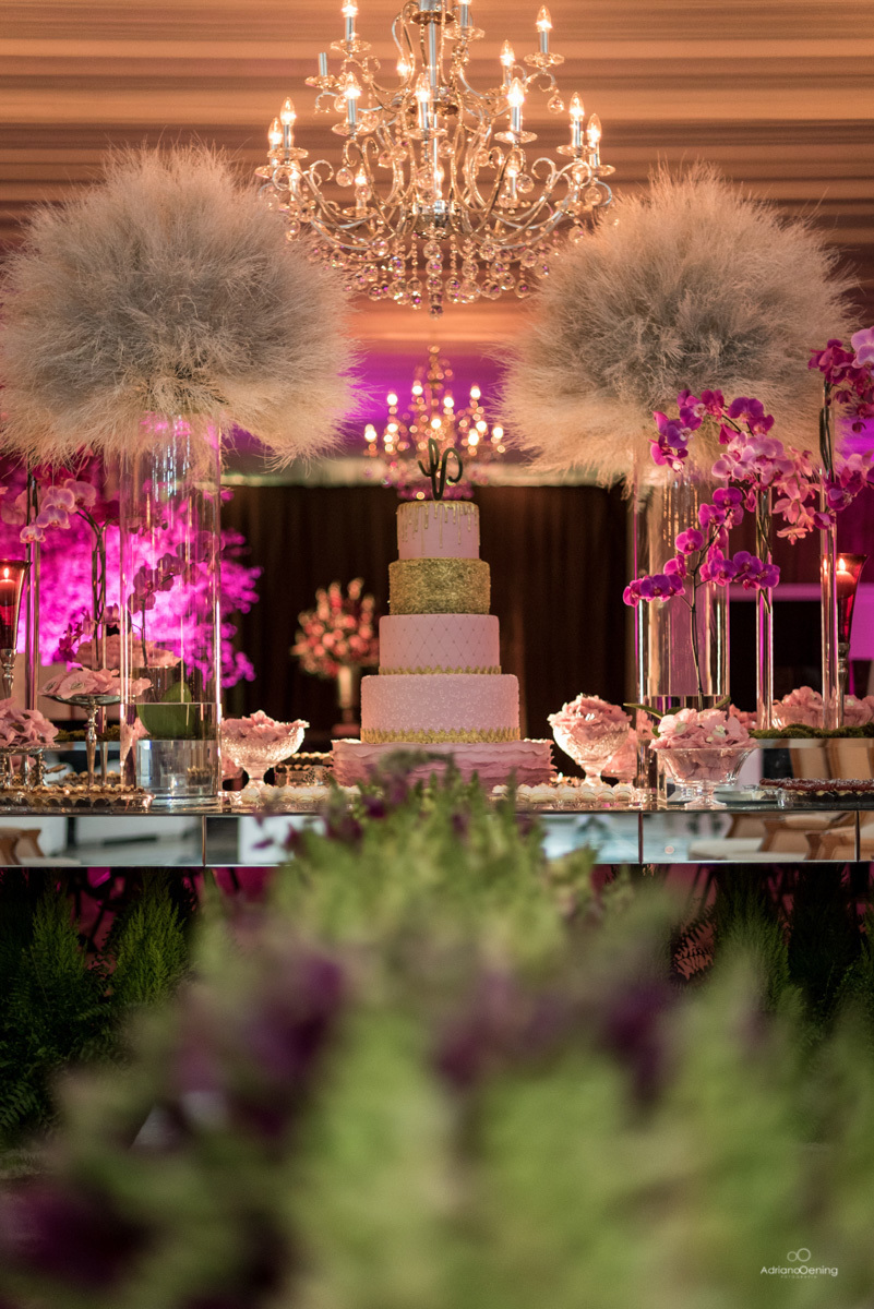 Festa de 15 anos da Valentina na cidade de Mangueirinha por Adriano Oening