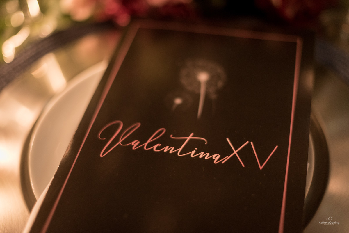 Festa de 15 anos da Valentina na cidade de Mangueirinha por Adriano Oening