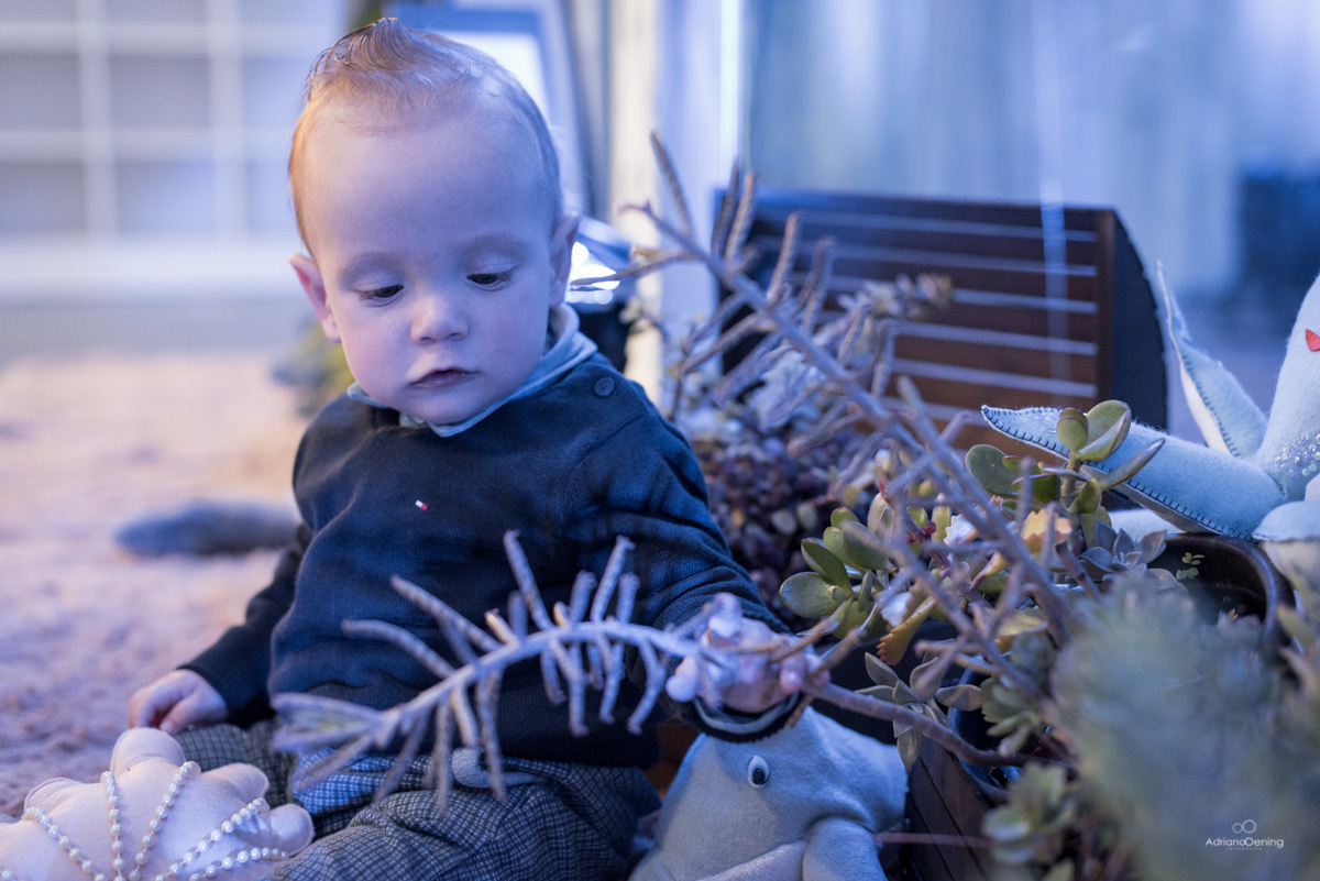 Aniversaio infantil na cidade de dois vizinhos pr por Adriano Oening