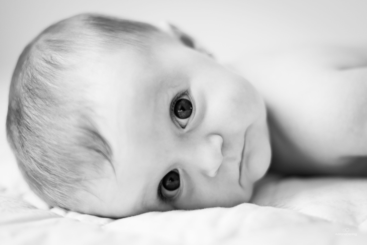 Acompanhamento trimestral da Cecilia pelo fotógrafo de família Adriano Oening