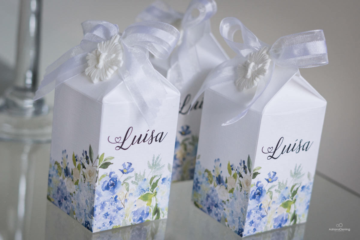 Batizado da Luisa em Francisco Beltrão Pr por Adriano Oening