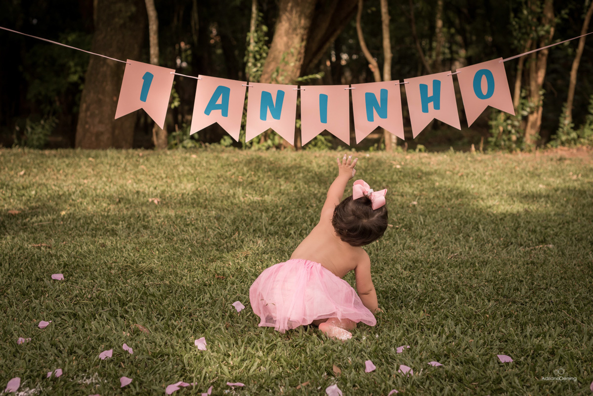 Ensaio de 1 ano da Lorena com sues pais by Adriano Oening