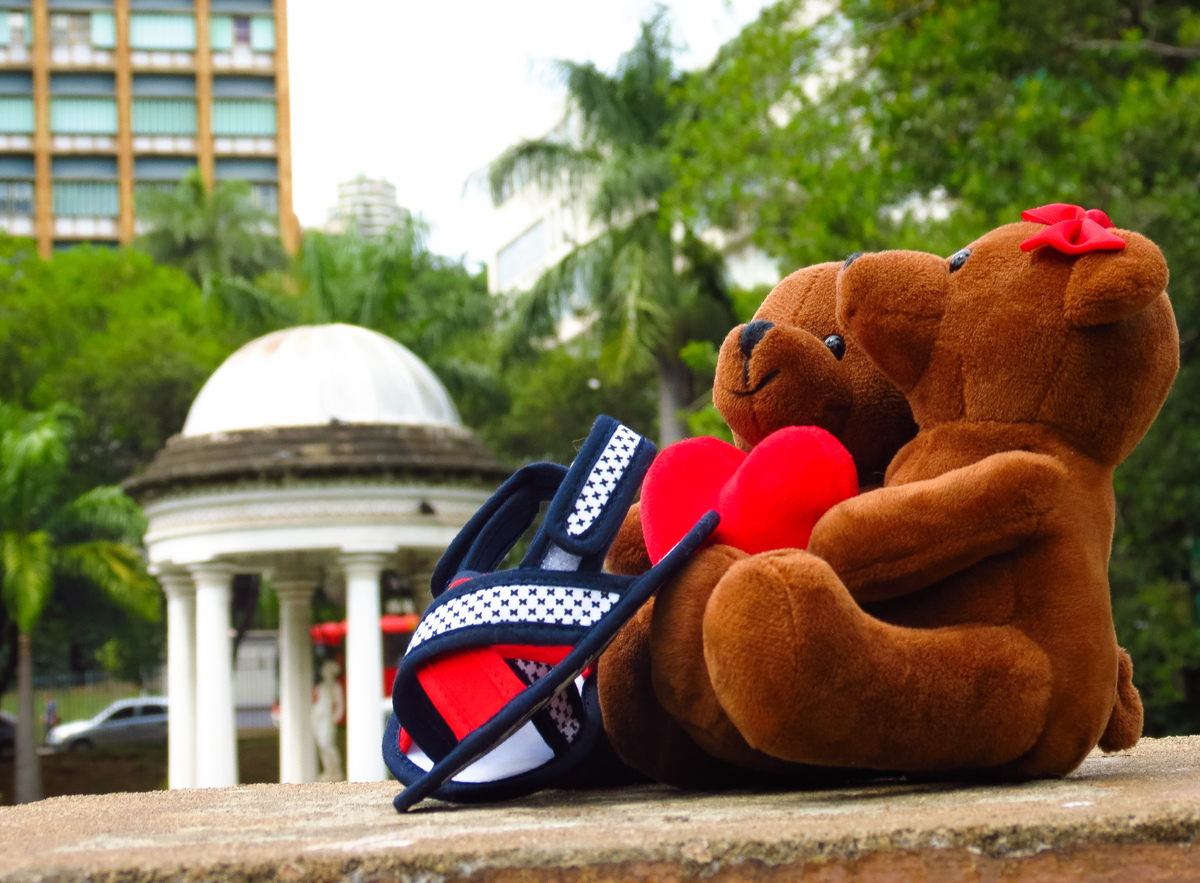 sapatinhos e ursinhos no parque