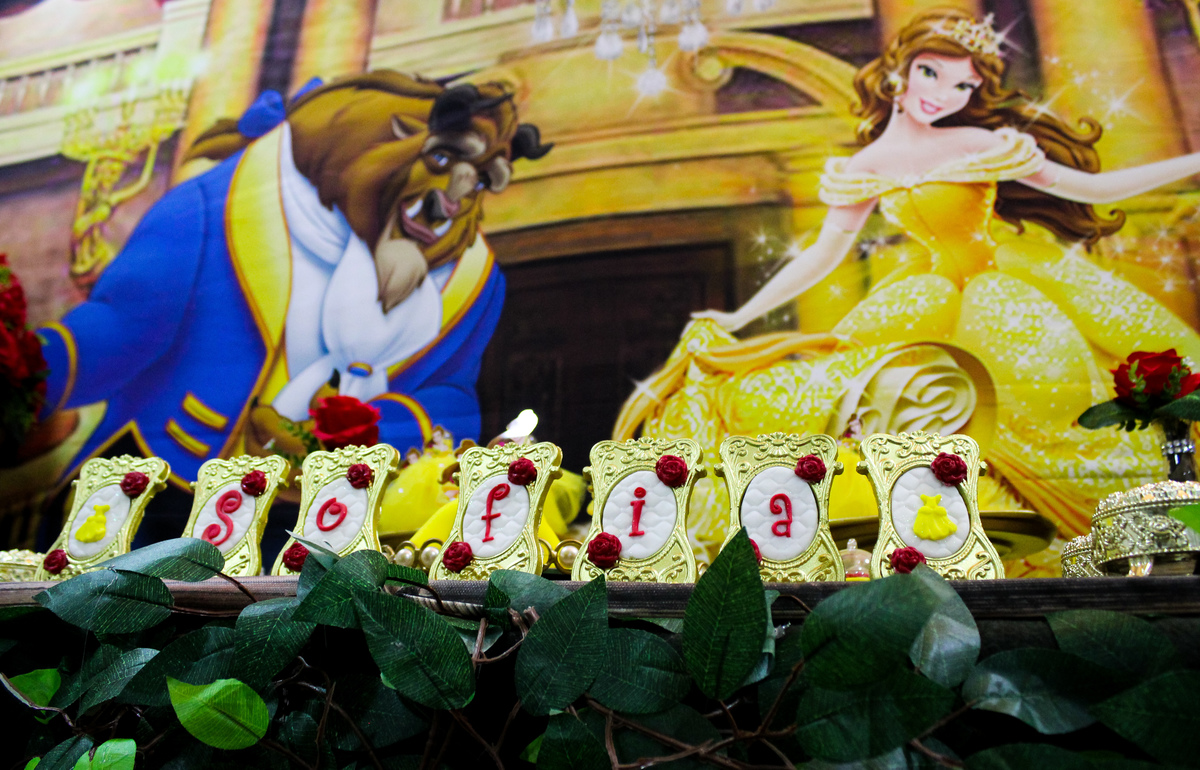 Sofia decoração aniverário