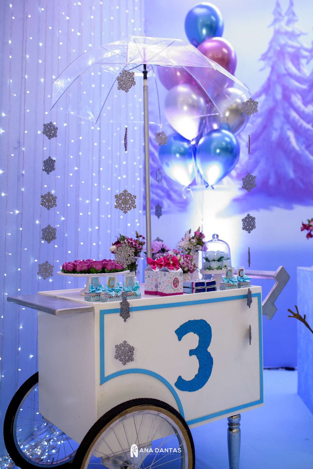 Festa Frozen maringá
