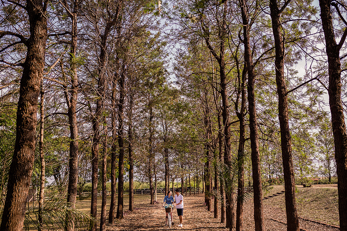 casal andando de bike no meio da floresta