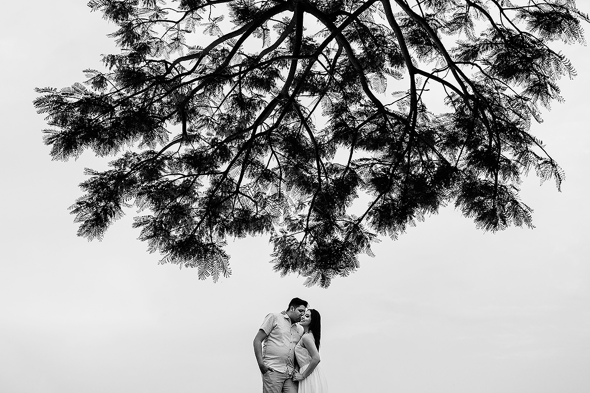 fotografia em preto e branco com arvore em cima do casal