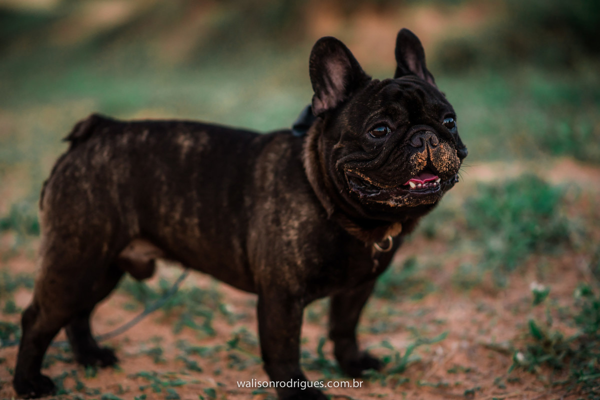 gestante-book de gestante-fotografias de gestante-fotos de gestante na praia-gestantes fortaleza- fotos de casais- sessão de fotos-ensaio de gestante-walison rodrigues fotografo-por do sol-Beberibe-CE