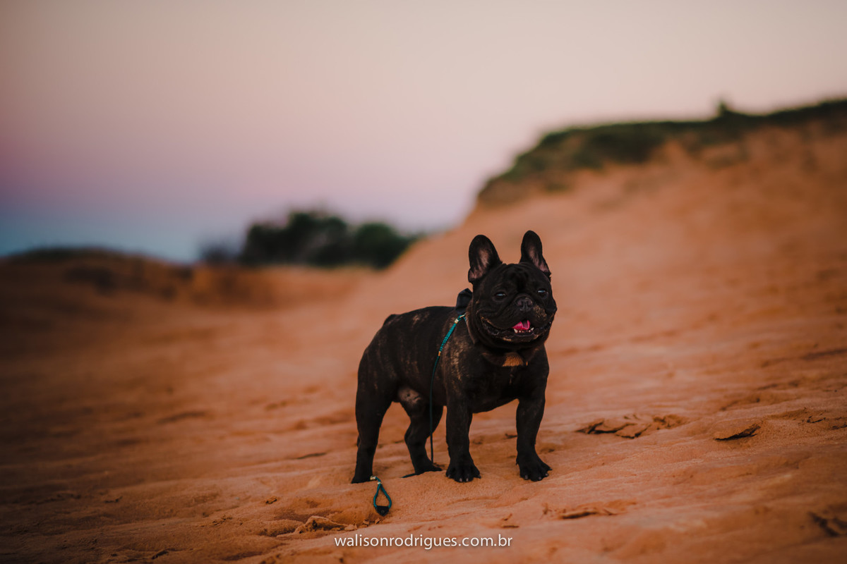 gestante-book de gestante-fotografias de gestante-fotos de gestante na praia-gestantes fortaleza- fotos de casais- sessão de fotos-ensaio de gestante-walison rodrigues fotografo-por do sol-Beberibe-CE