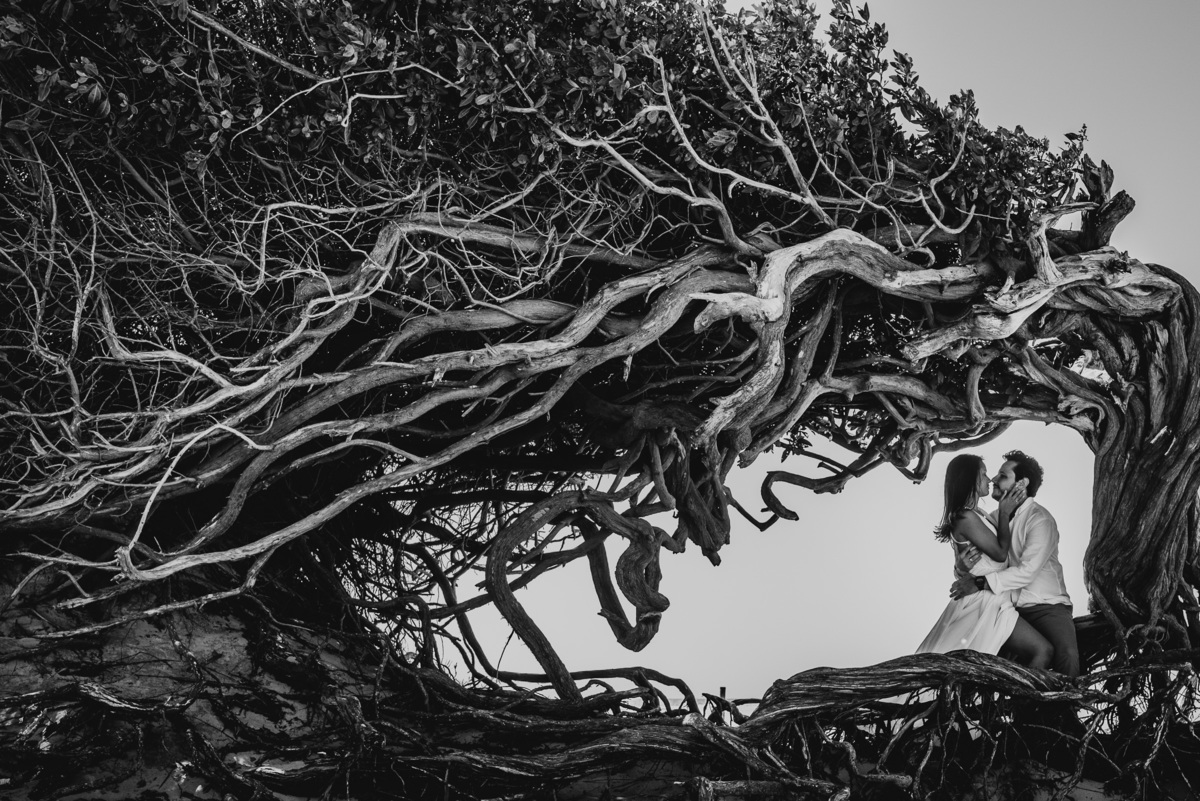 pre-wedding-na-arvore-da-peguica-em-jericoacoara-Ce