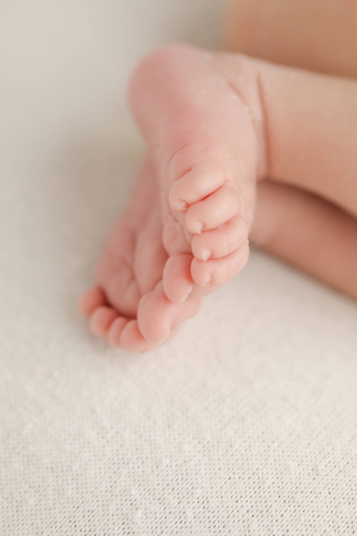 * Sessão de fotografia de estúdio
* Fotografia em estúdio
* Ensaio fotográfico em estúdio
* Estúdio fotográfico
* Sessão fotográfica profissional em estúdio
* Fotógrafo de estúdio
* Book fotográfico em estúdio
* Sessão de retratos em estúdio
* Fotografia 