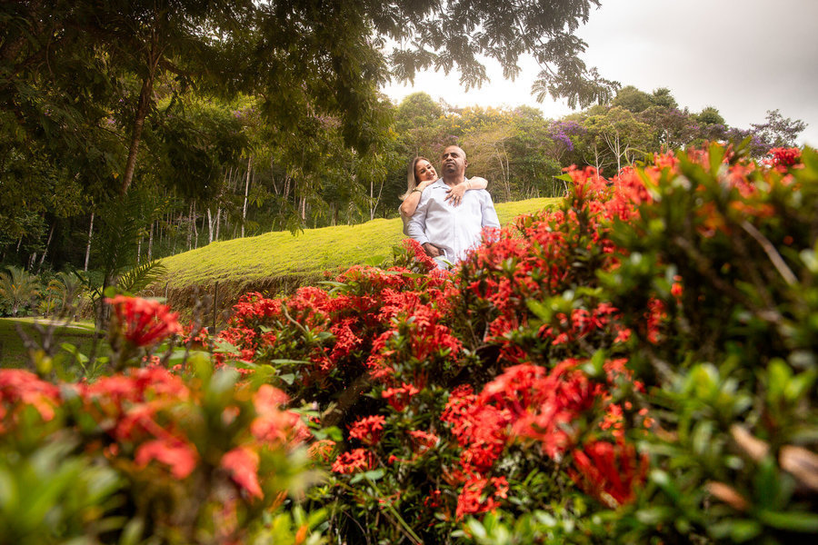 Casal posa em meio a flores vermelhas vibrantes e um gramado verde. O noivo, de camisa branca, abraça a noiva por trás, no ensaio fotográfico pré-casamento.