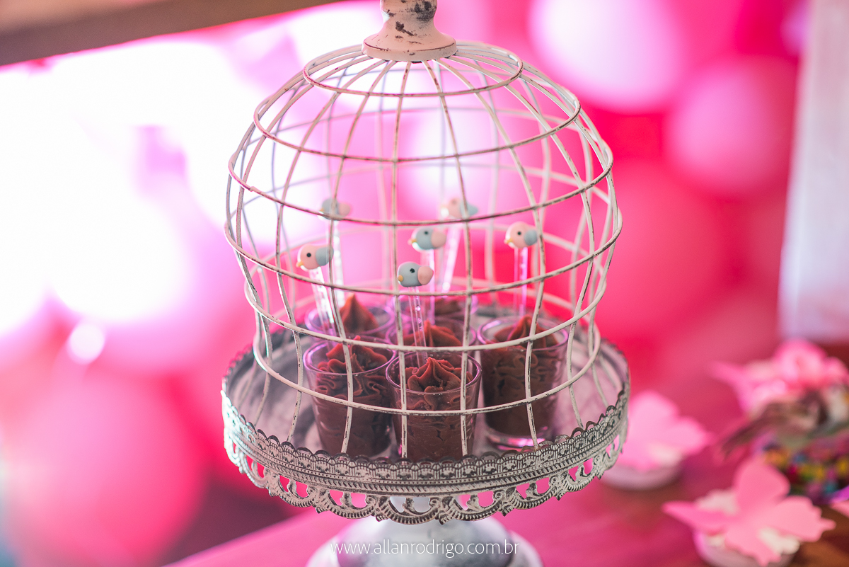 aniversario infantil aracaju,jardim encantado da maria, decoracao infantil aracaju,fotografia infantil, fotografo infantil aracaju,floresta encantada,Sergipe,aracaju