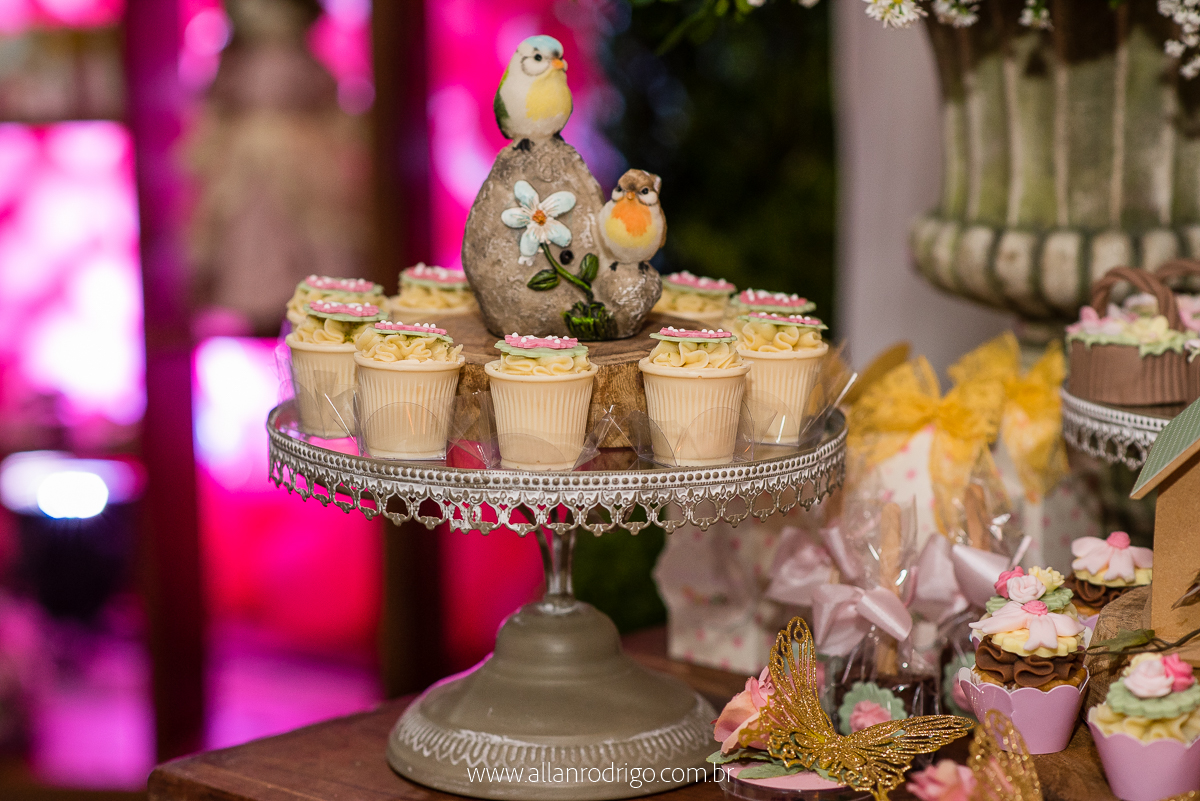 aniversario infantil aracaju,jardim encantado da maria, decoracao infantil aracaju,fotografia infantil, fotografo infantil aracaju,floresta encantada,Sergipe,aracaju