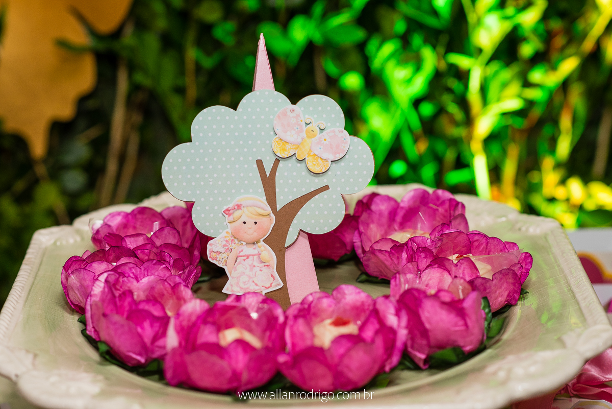 aniversario infantil aracaju,jardim encantado da maria, decoracao infantil aracaju,fotografia infantil, fotografo infantil aracaju,floresta encantada,Sergipe,aracaju