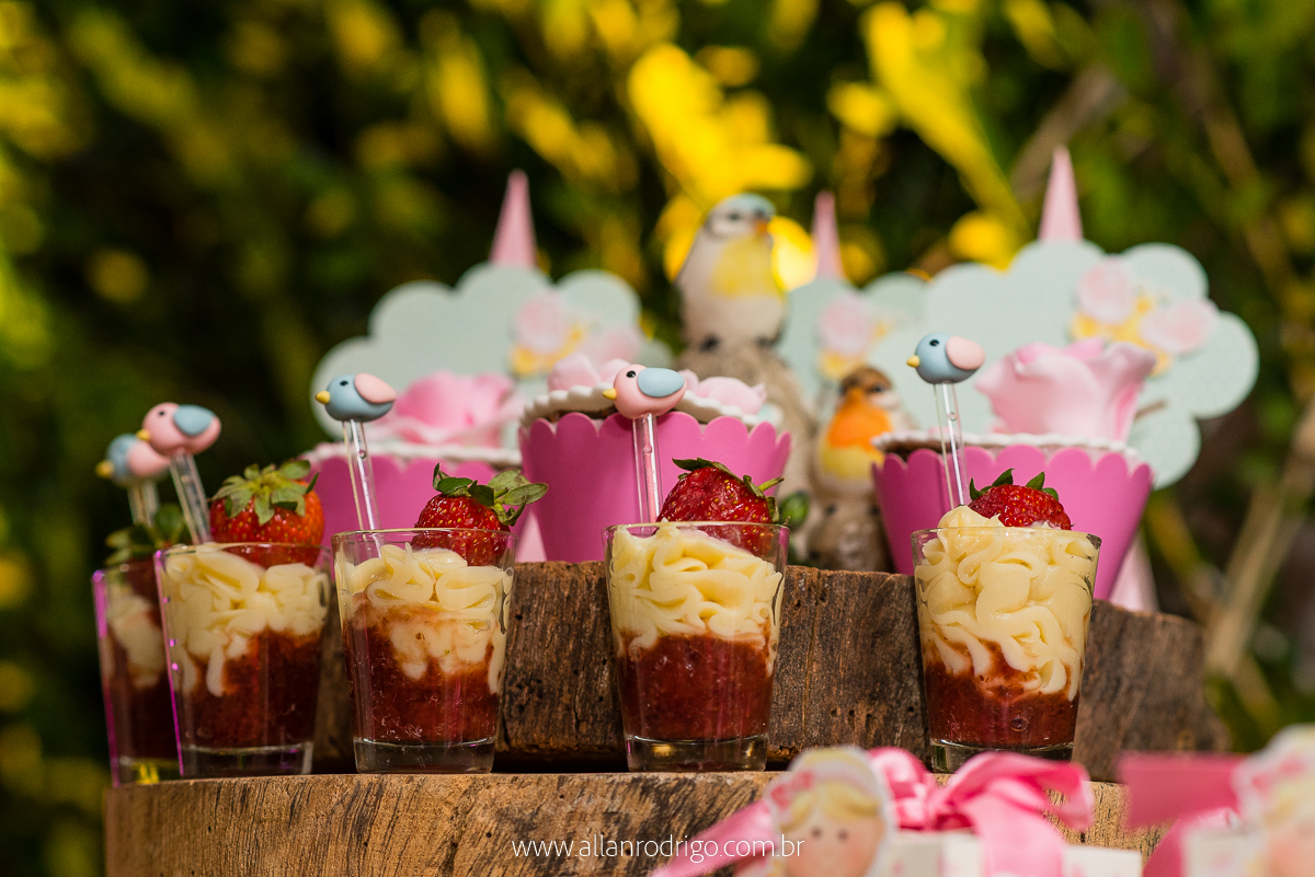 aniversario infantil aracaju,jardim encantado da maria, decoracao infantil aracaju,fotografia infantil, fotografo infantil aracaju,floresta encantada,Sergipe,aracaju