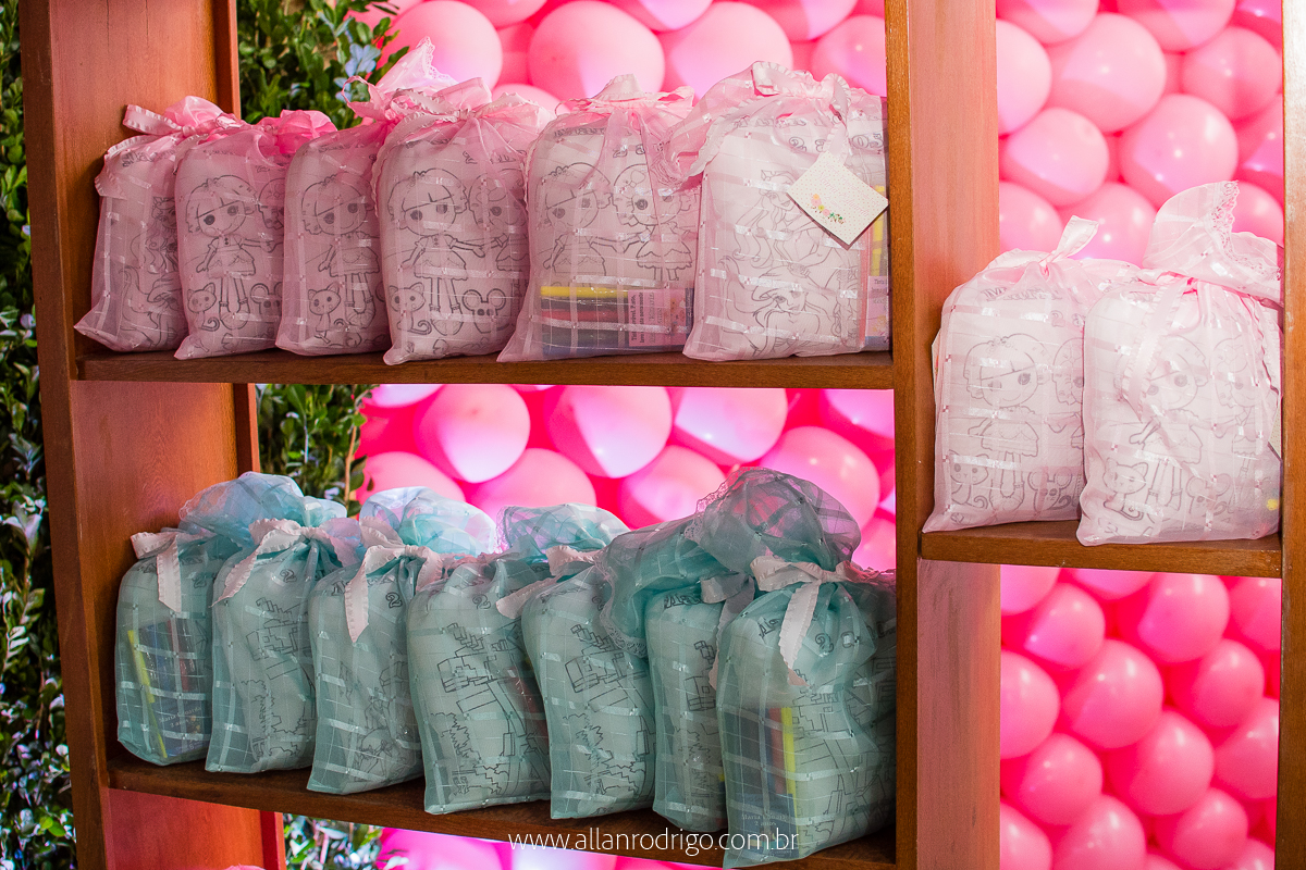 aniversario infantil aracaju,jardim encantado da maria, decoracao infantil aracaju,fotografia infantil, fotografo infantil aracaju,floresta encantada,Sergipe,aracaju