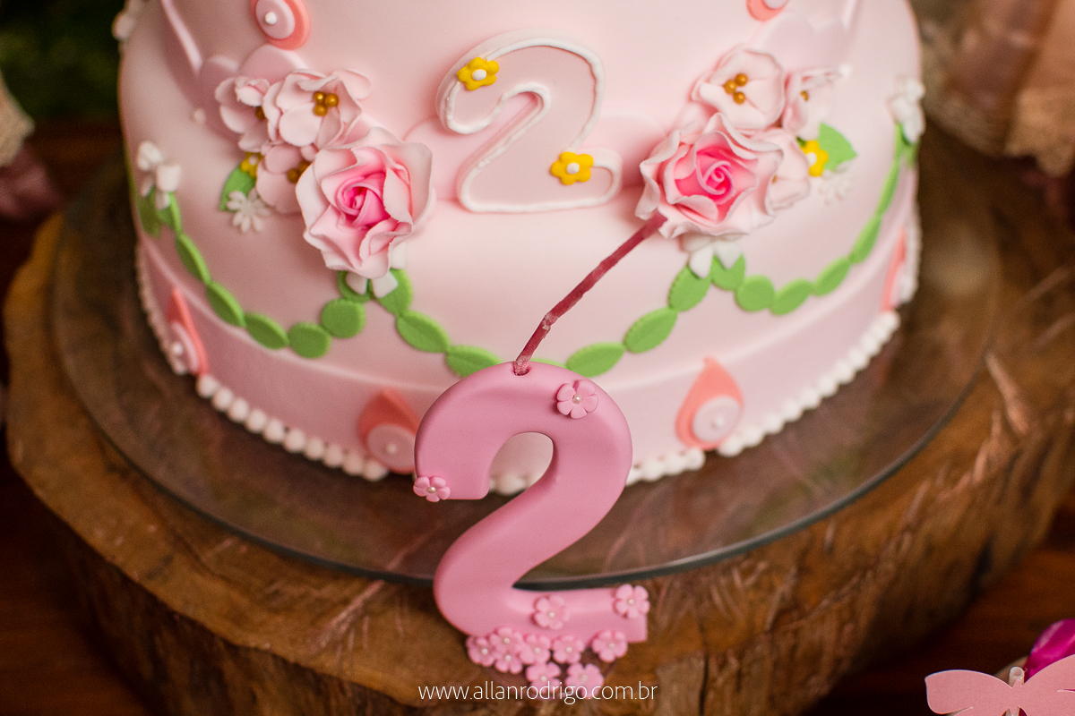 aniversario infantil aracaju,jardim encantado da maria, decoracao infantil aracaju,fotografia infantil, fotografo infantil aracaju,floresta encantada,Sergipe,aracaju