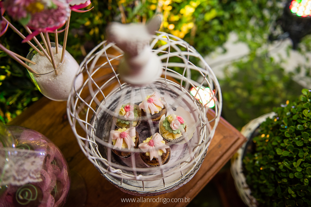 aniversario infantil aracaju,jardim encantado da maria, decoracao infantil aracaju,fotografia infantil, fotografo infantil aracaju,floresta encantada,Sergipe,aracaju