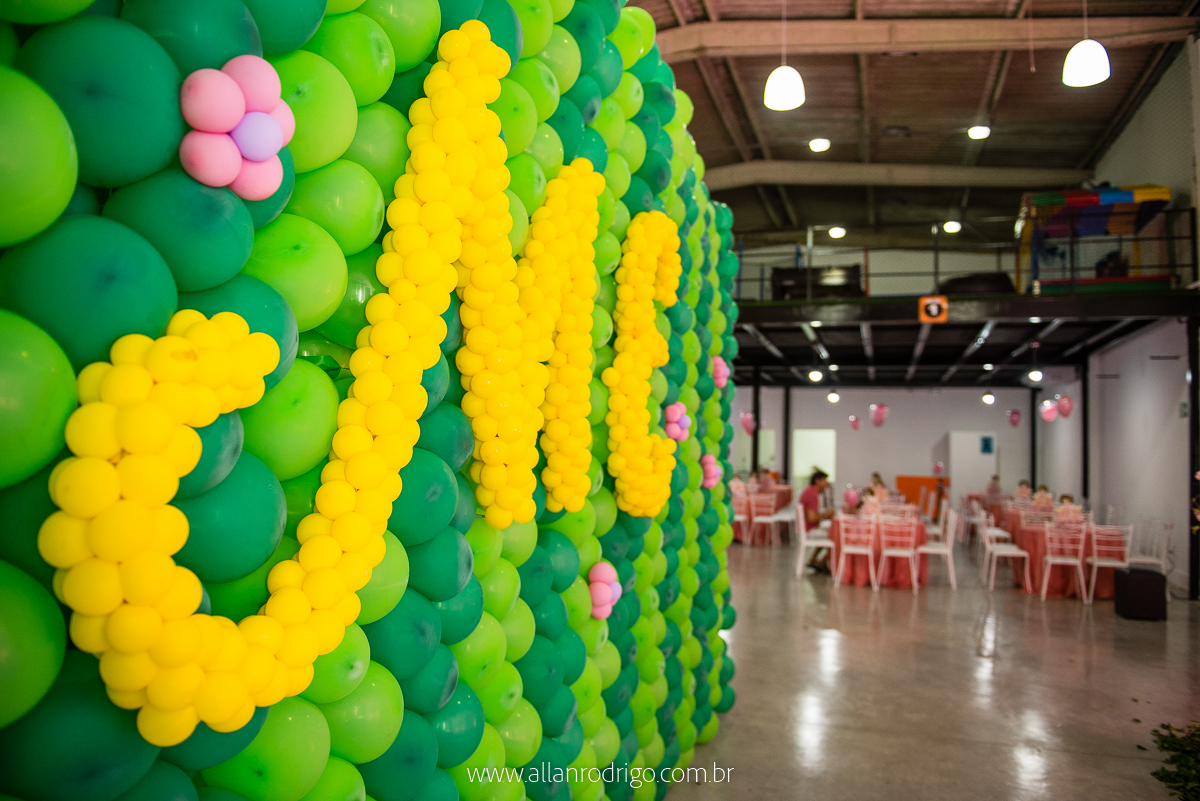 aniversario infantil aracaju,jardim encantado da maria, decoracao infantil aracaju,fotografia infantil, fotografo infantil aracaju,floresta encantada,Sergipe,aracaju