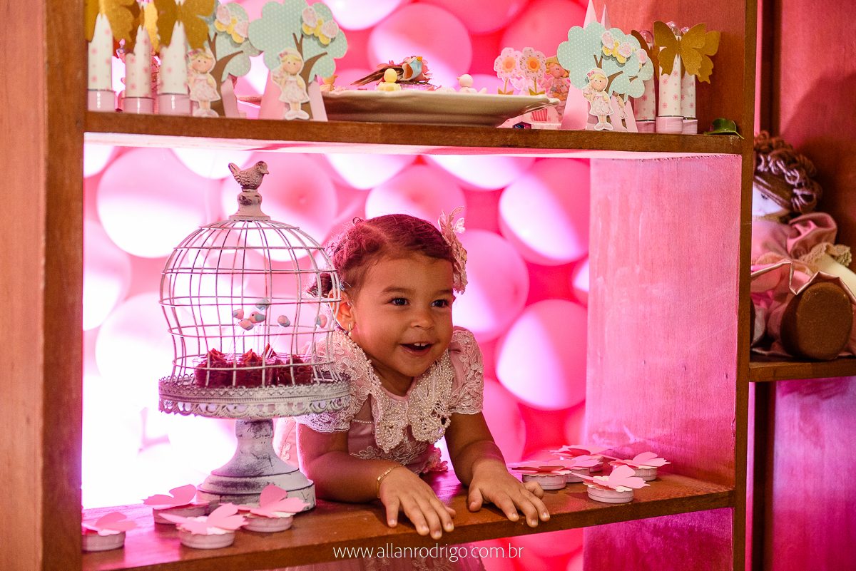 aniversario infantil aracaju,jardim encantado da maria, decoracao infantil aracaju,fotografia infantil, fotografo infantil aracaju,floresta encantada,Sergipe,aracaju