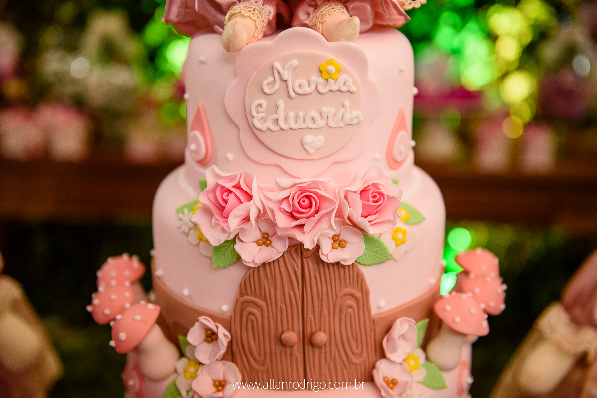 aniversario infantil aracaju,jardim encantado da maria, decoracao infantil aracaju,fotografia infantil, fotografo infantil aracaju,floresta encantada,Sergipe,aracaju