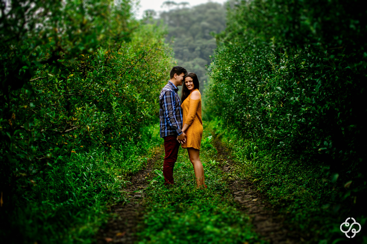 Ensaio Foto Casal na Serra SC  | Ensaio Foto Noivos em uma plantação de maçãs  | Pré Casamento na Serra Catarinense | Urubici - SC | Maguida e Victor | Book Casal | Fotógrafo de Casamento | Fotógrafo de Bodas | Parejas | www.rafaelsantosfotografia.com.br