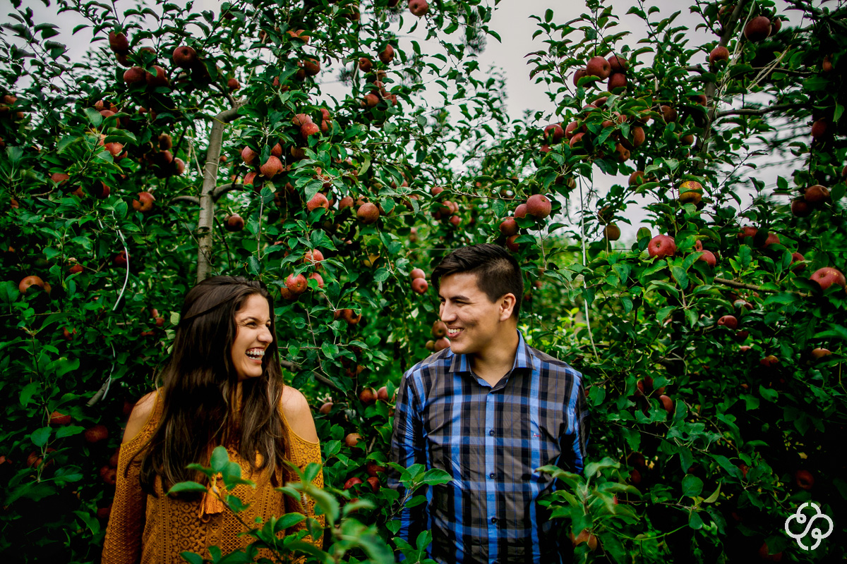 Ensaio Foto Casal na Serra SC  | Ensaio Foto Noivos em uma plantação de maçãs  | Pré Casamento na Serra Catarinense | Urubici - SC | Maguida e Victor | Book Casal | Fotógrafo de Casamento | Fotógrafo de Bodas | Parejas | www.rafaelsantosfotografia.com.br