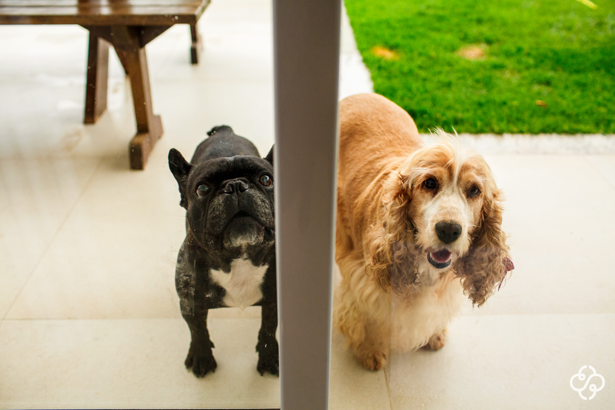 Making-of Noivo |Casamento Indaiá Restaurante | Itapema | Fotógrafo de Casamento | Foto de Casamento | Fotógrafo Destination Wedding | |Fotógrafo de Casamento SC | Destino de Casamento |
