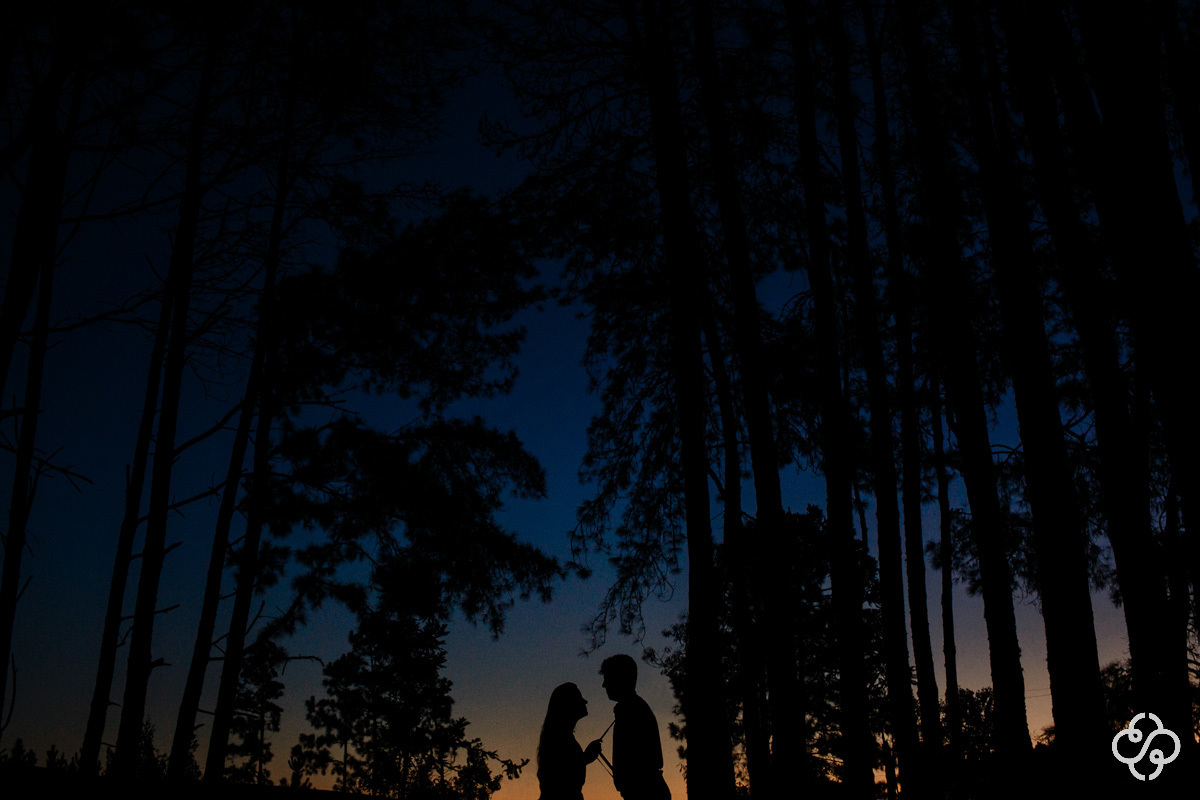 Foto Ensaio Casal em Petrolândia SC | Ensaio Noivos na floresta | Pré Casamento Yohana e Guilherme | Pré Wedding Catarinense | Book Casal | Fotógrafo de Casamento | Fotógrafo de Bodas | Parejas | www.rafaelsantosfotografia.com.br