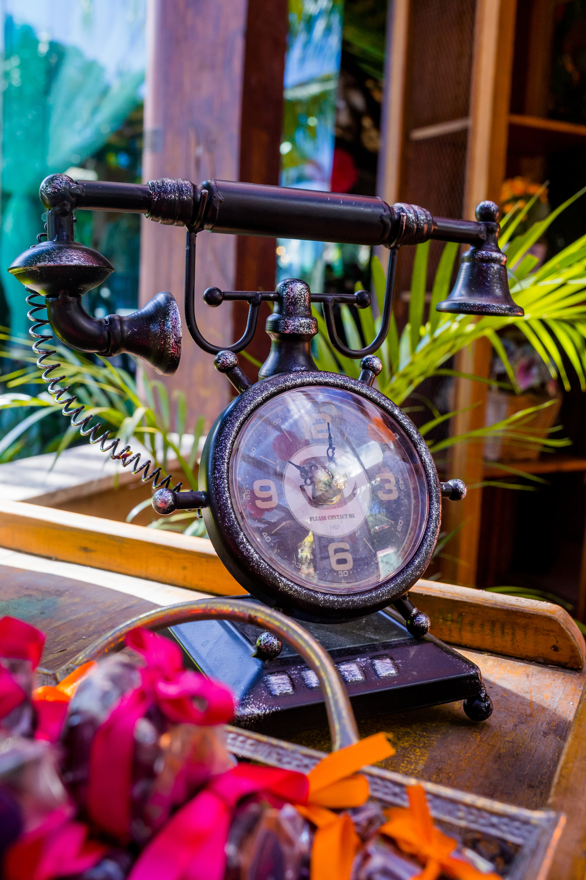 Aniversário na Chácara do Engenho do Mato