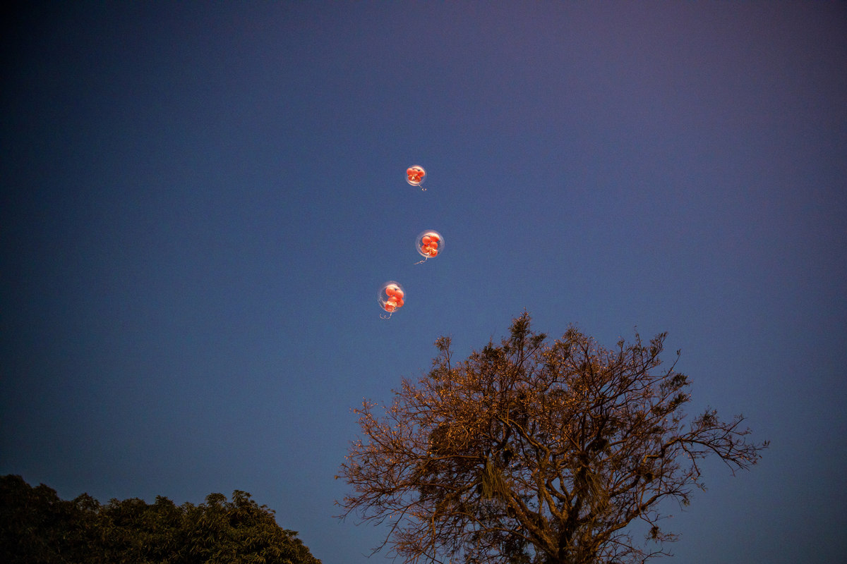 Casamento ao Ar Livre em Niterói