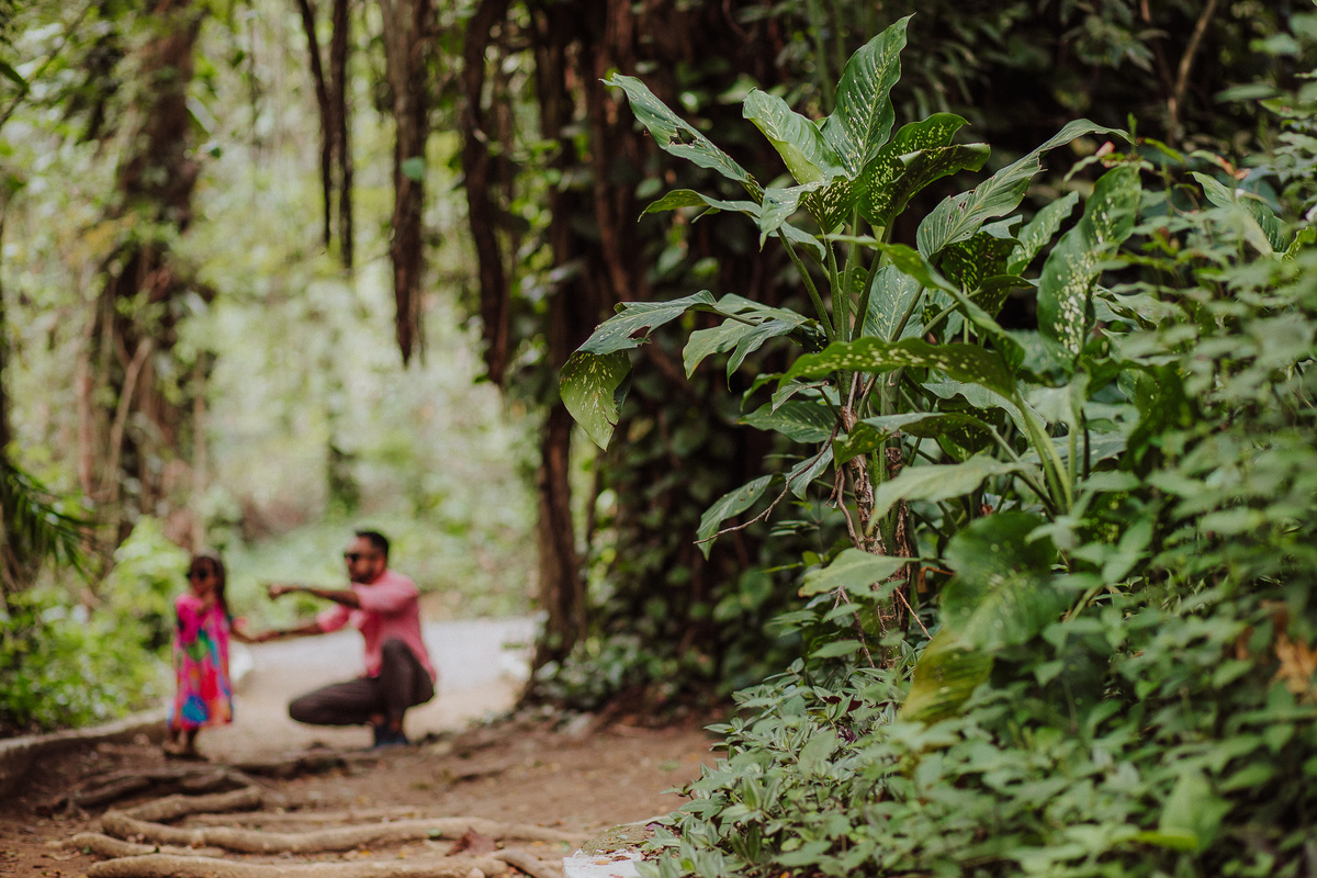 Ensaio Fotográfico no Horto Botânico em Niterói
