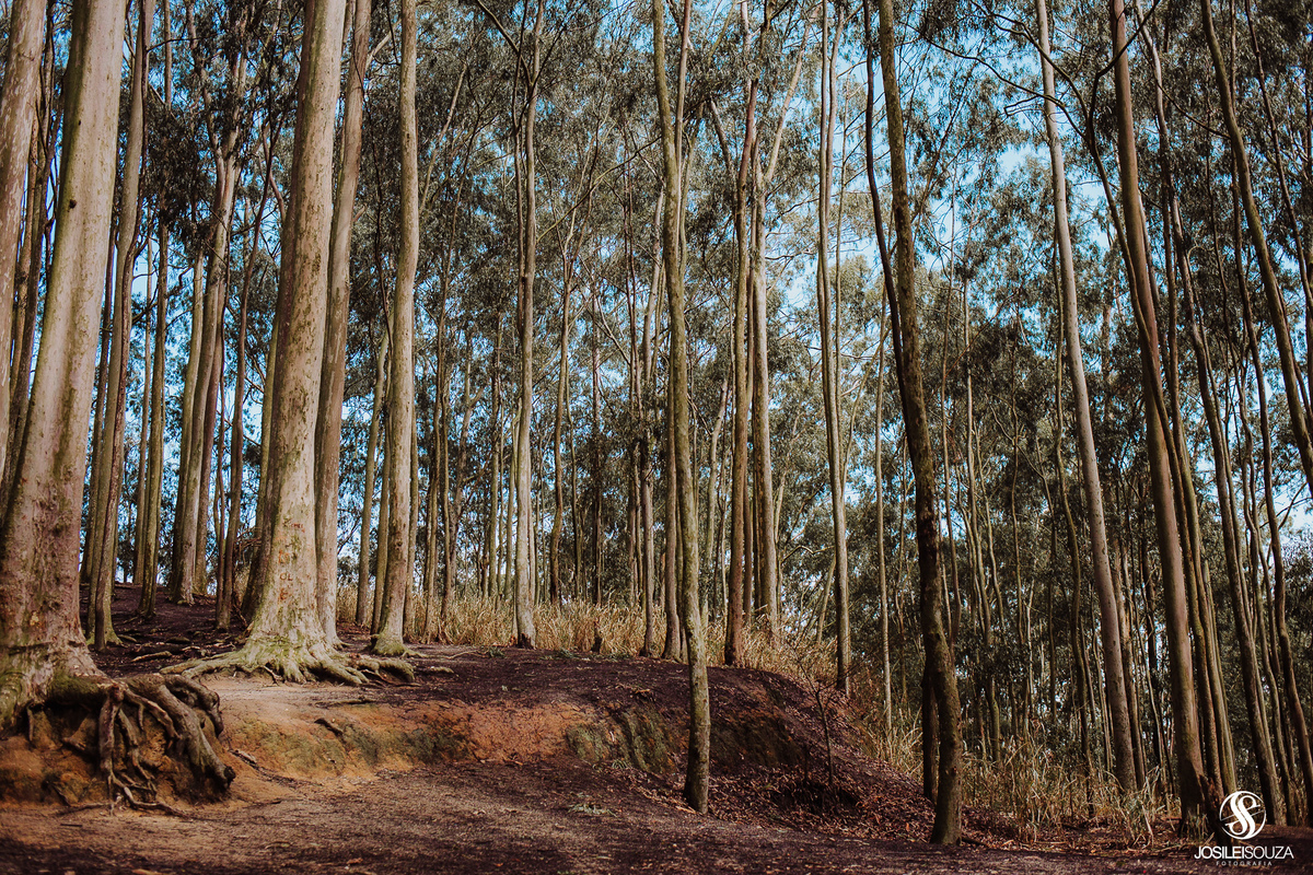 Ensaio de Gestante no Parque da Cidade em Niterói