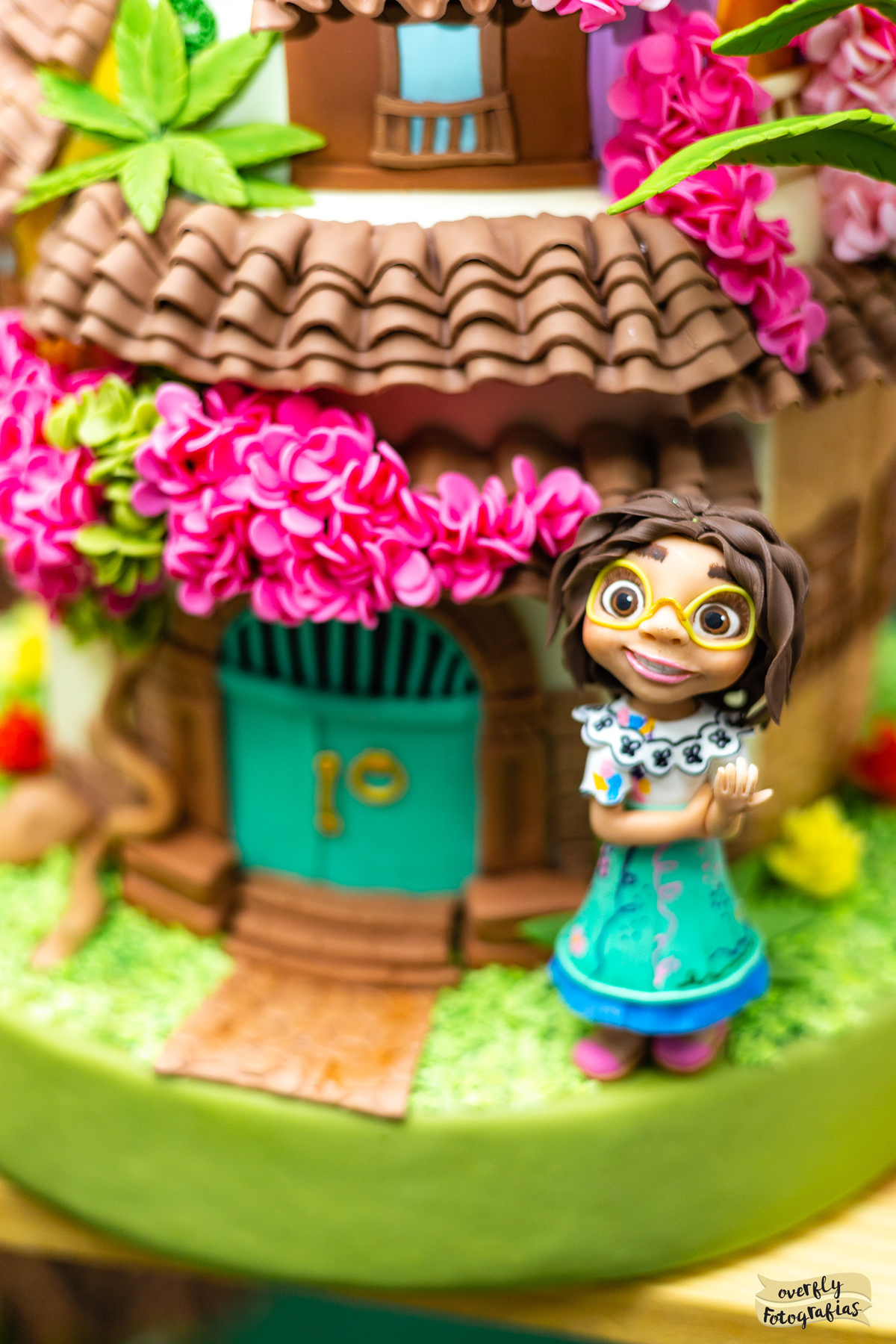 Festa Temática Encanto Disney