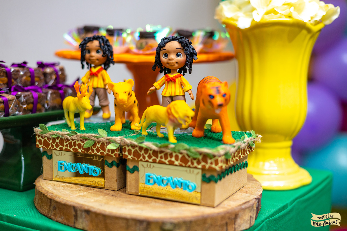 Festa Temática Encanto Disney