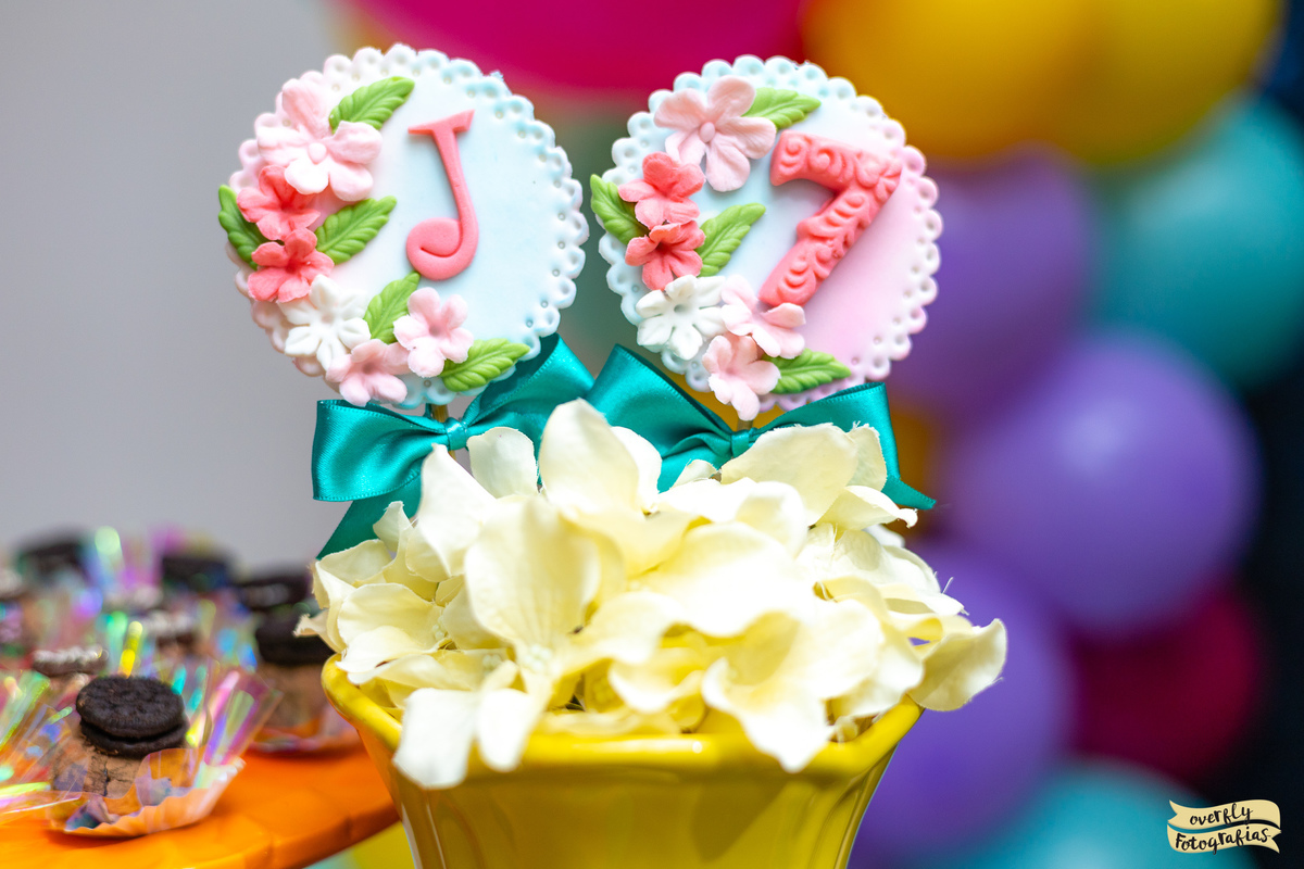 Festa Temática Encanto Disney