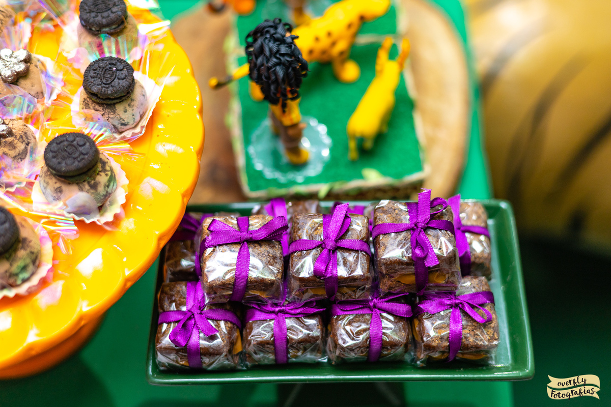 Festa Temática Encanto Disney