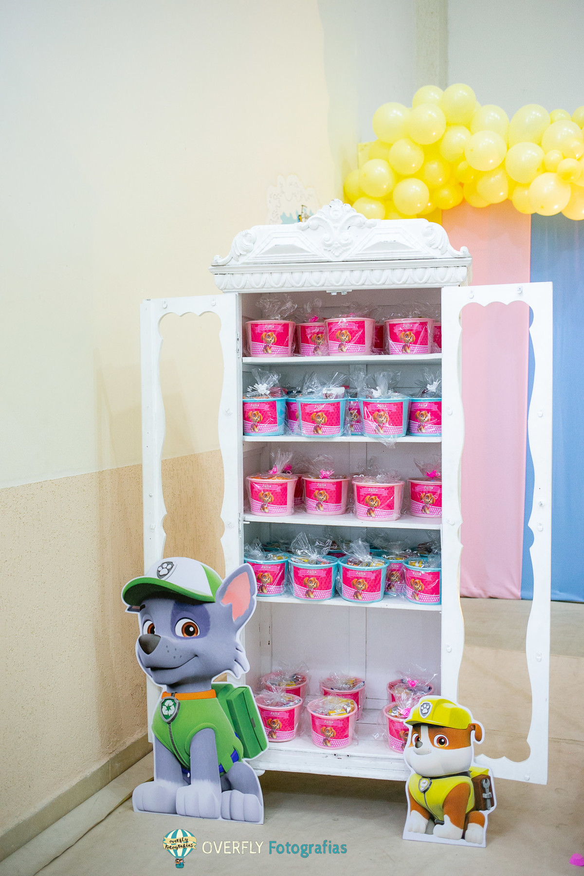 Aniversário da Patrulha Canina RJ 