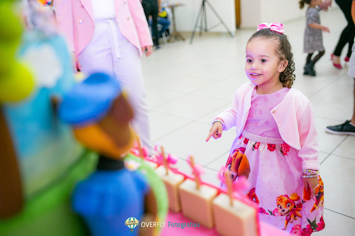 Aniversário da Patrulha Canina RJ 